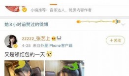 大蓝助理爆料视频大全,揭秘娱乐圈幕后真相