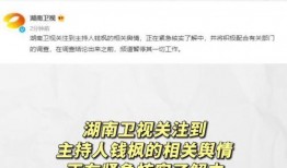 娱乐吃瓜项目是什么,揭秘娱乐圈幕后真相与热点事件