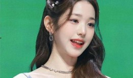 张元英韩国网友爆料视频,揭秘背后真相